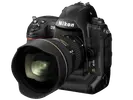 D3